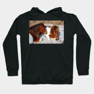 Wild horses, wildlife, Assateague Island, Sleepy Twosome Hoodie